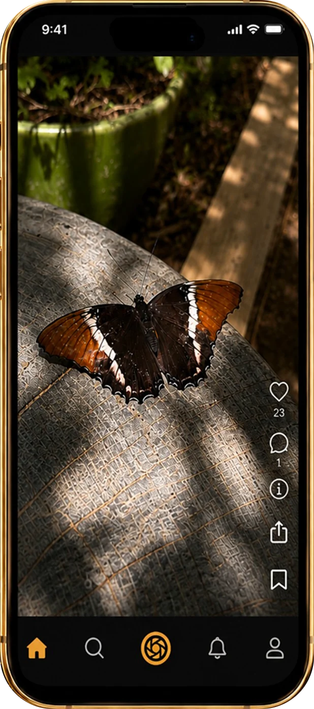 pruf.net feed shown on an iPhone, with an in-app photograph of a butterfly.
